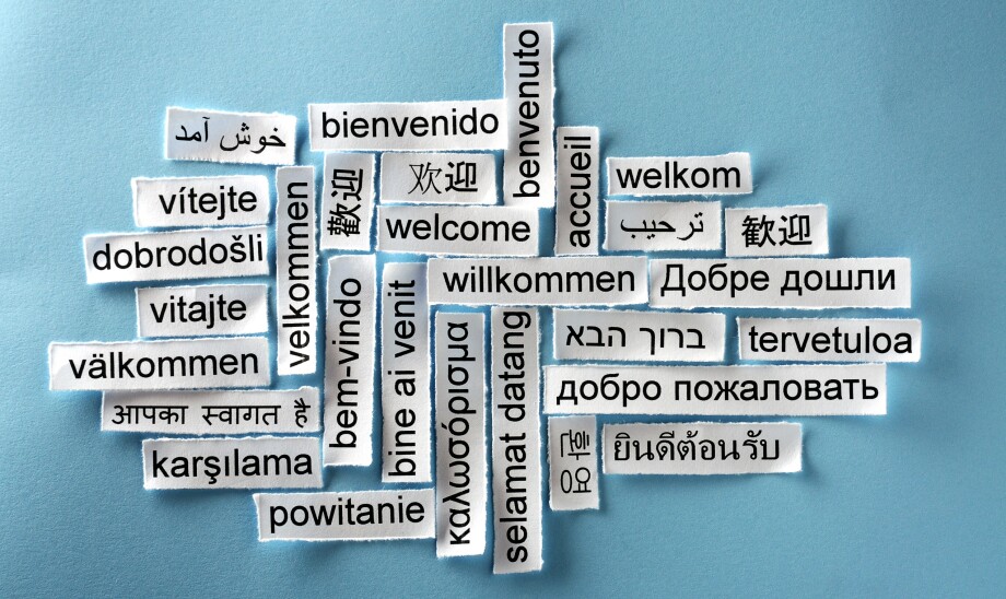 Как мы учим иностранные языки? Пять фактов о том, как мозг нам помогает (или мешает)