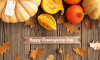 Thanksgiving Digest: факты, упражнения и планы уроков для всех уровней
