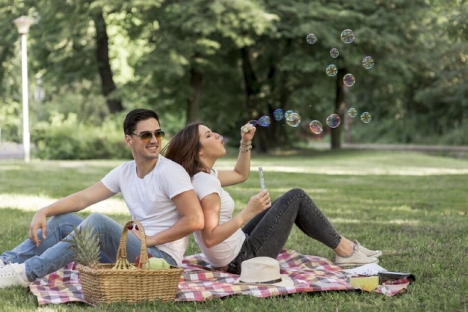 International Picnic Day: what is your picnic type?