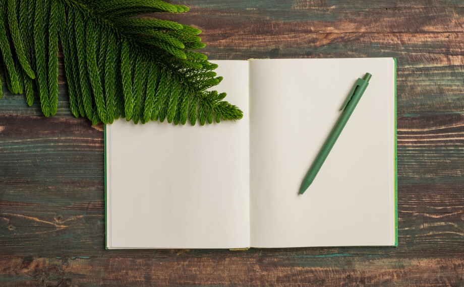 Метод «зеленой ручки»: чем полезен и как использовать на уроке английского