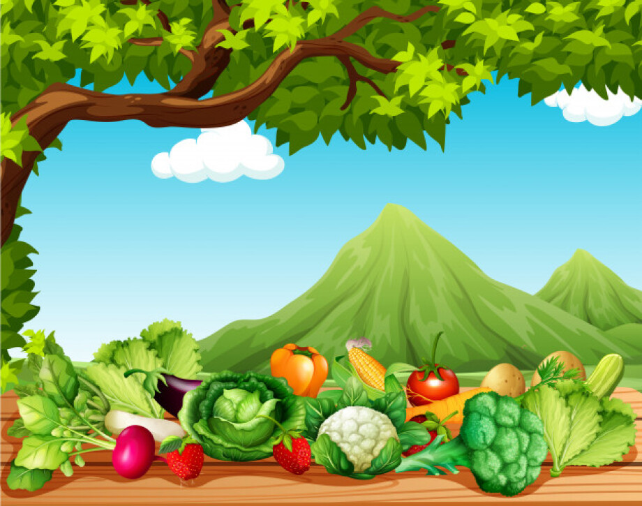 7 activities on the topic “Fruit and vegetables”