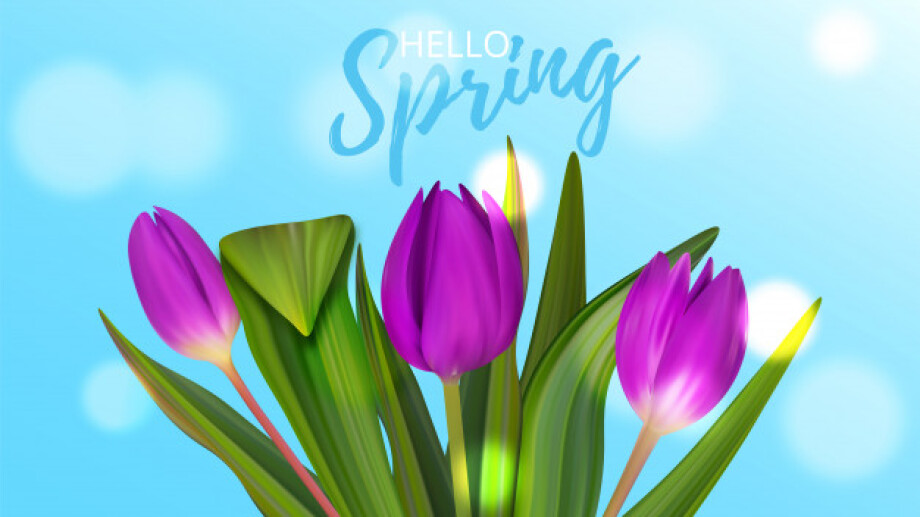 Spring Expressions: Test Yourself
