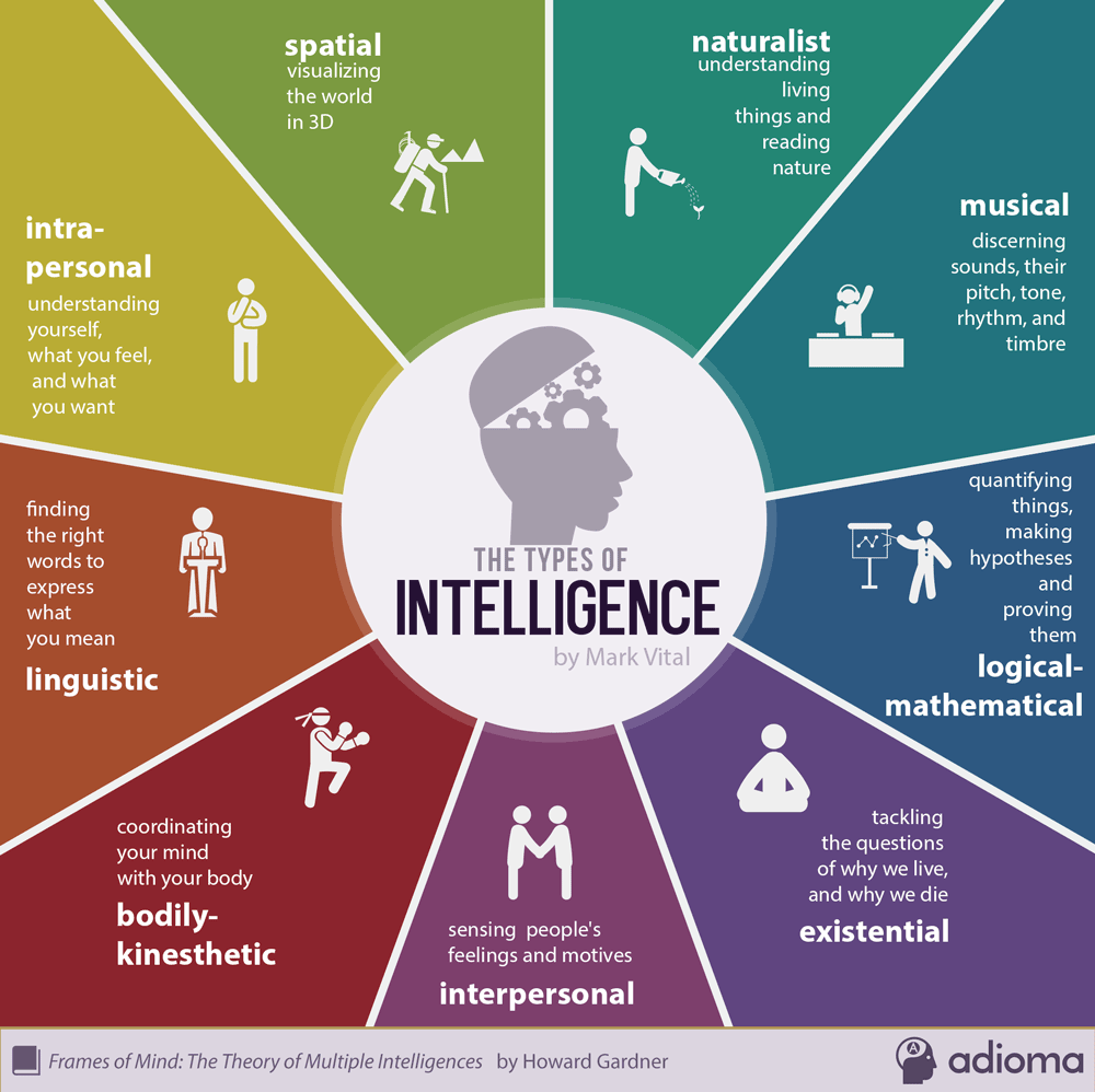 9 types of intelligence infographic Skyteach