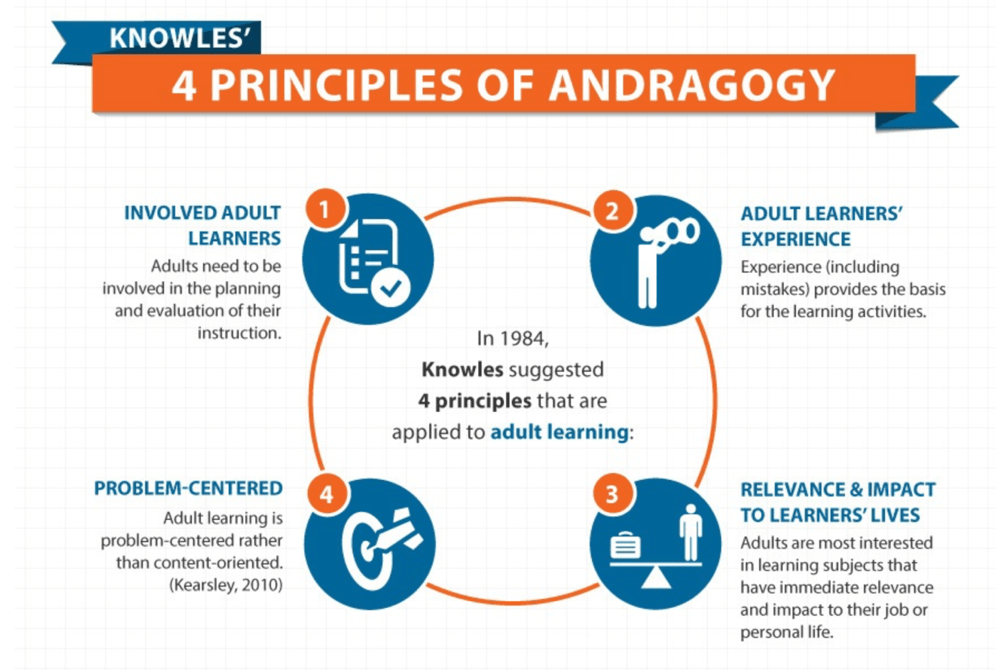Андрагогика — полезные принципы обучения взрослых
