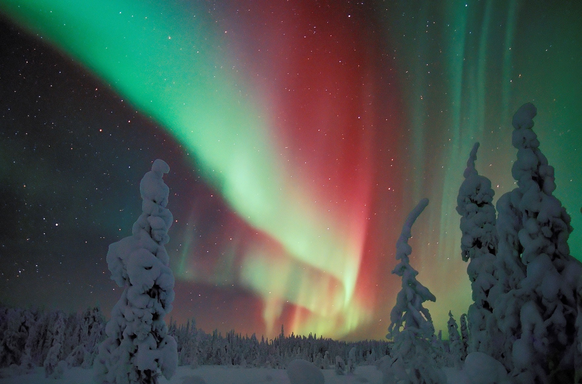 Christmas journey to Lapland: lesson ideas
